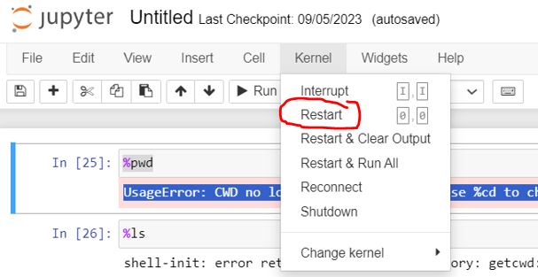 Kernel Restart